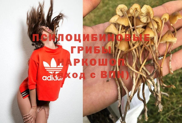 стаф Горняк