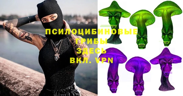 гидропоника Горно-Алтайск