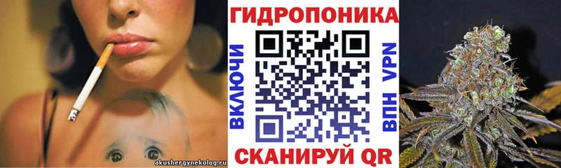 Бошки Шишки AK-47  Купить  Тихорецк 